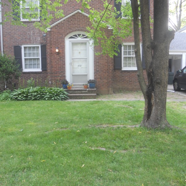 Almost Perfect Landscaping