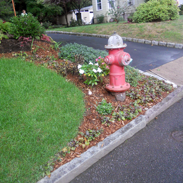 almost perfect landscaping