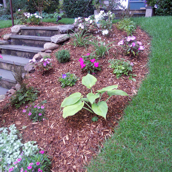 almost perfect landscaping