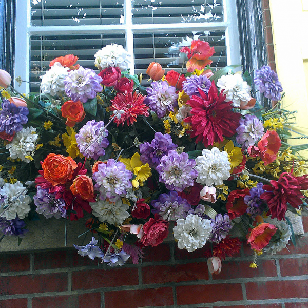blossoming inner city windowbox