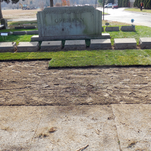 laying sod in bergen county