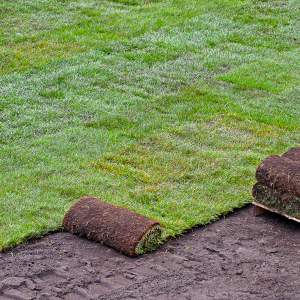 Sod Installation in Bergen County