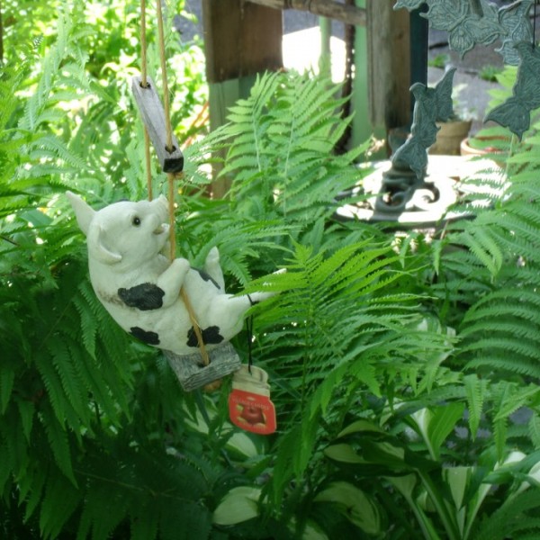 ferns and decor