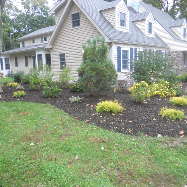 landscape contractor in wyckoff nj