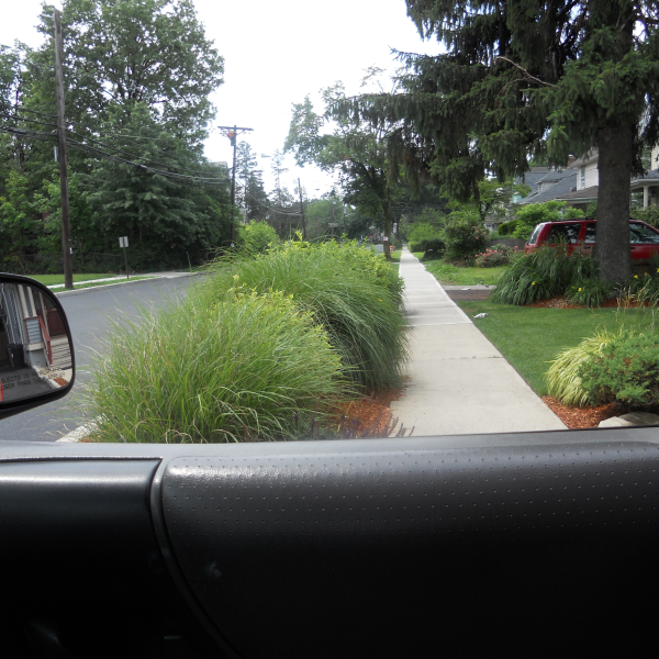 Before view from car