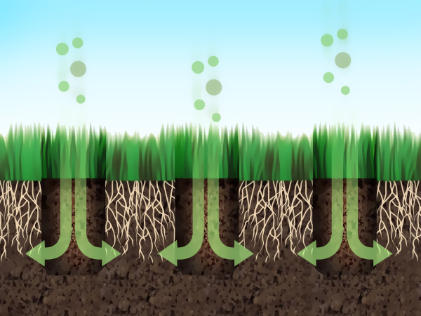 lawn aeration