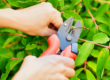 landscape maintenance services in bergen county