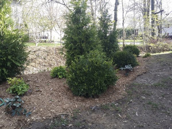 almost PERFECT Landscaping design and build