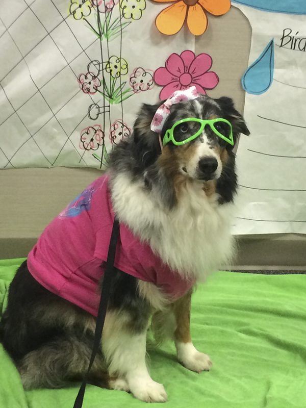 the dog days of summer