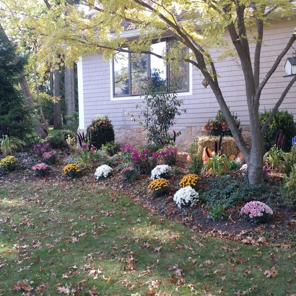 almost PERFECT Landscaping - Haworth