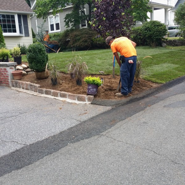 almost PERFECT Landscaping in Westwood