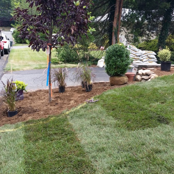 almost PERFECT Landscaping in Westwood