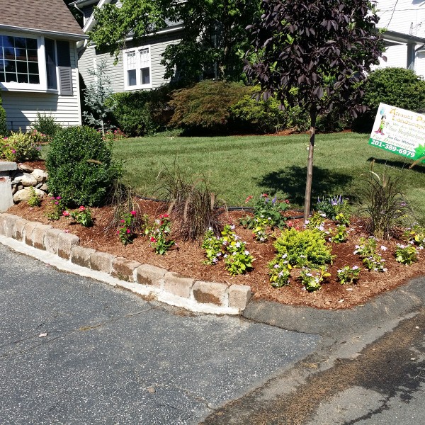 almost PERFECT Landscaping in Westwood