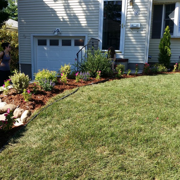 almost PERFECT Landscaping in Westwood