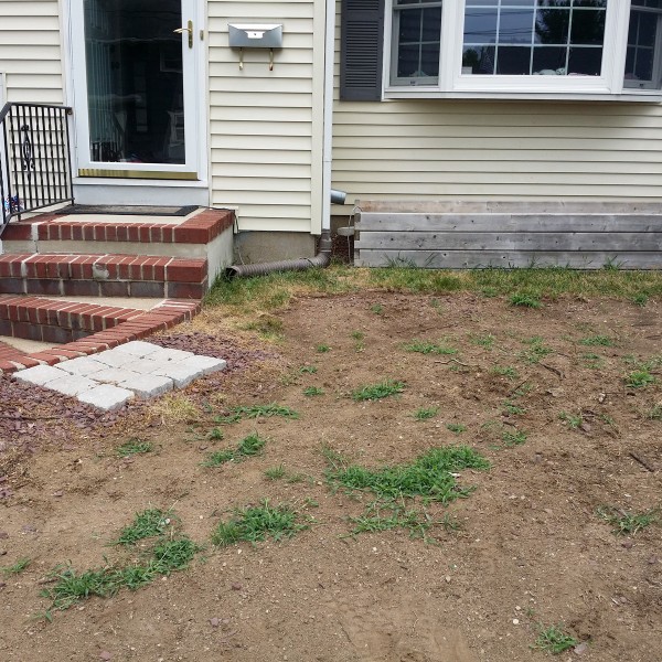 almost PERFECT Landscaping in Westwood