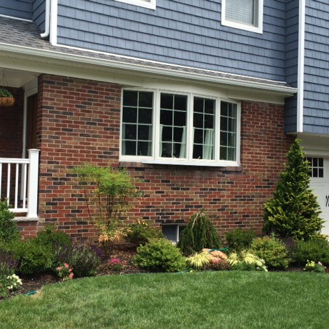almost PERFECT Landscaping Clifton