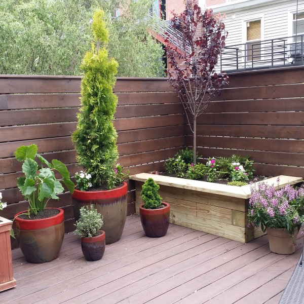 almost perfect landscaping hoboken almost perfect landscaping hoboken
