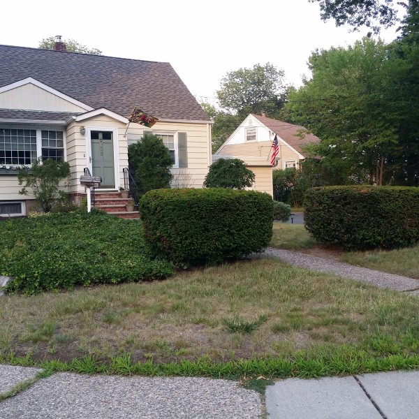 almost PERFECT Landscaping - Maywood