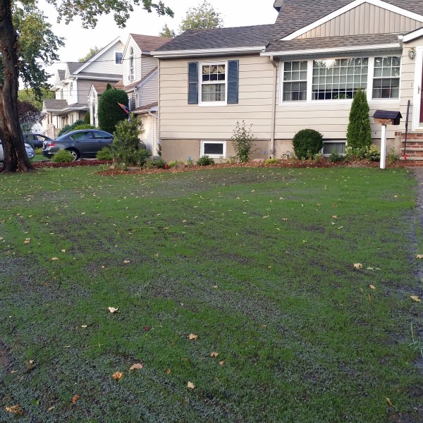 almost PERFECT Landscaping - Maywood