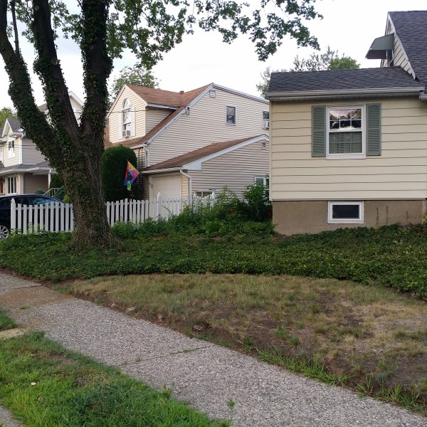 almost PERFECT Landscaping - Maywood