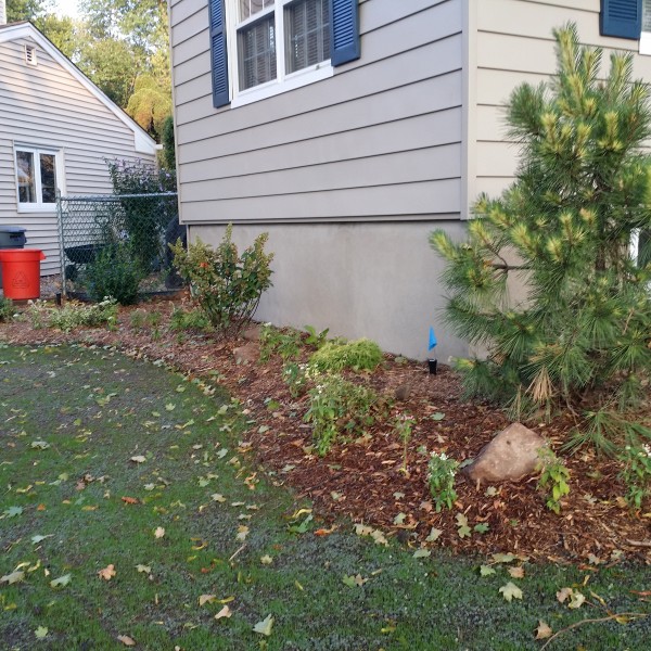 almost PERFECT Landscaping - Maywood