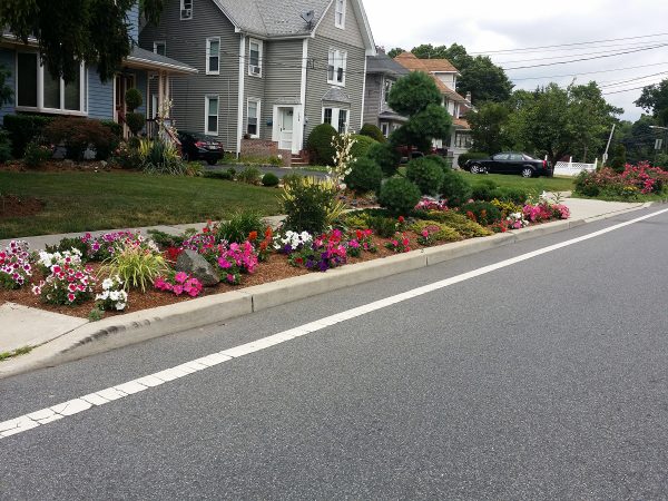 an-almost-PERFECT-curb-bed-in-bergen-county
