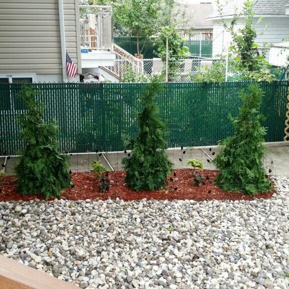 Landscape Design and Build Senacus N.J.