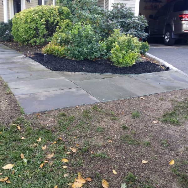 driveway-entrance-walk-with-accent