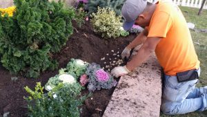 Landscape Planting in Hackensack - almost PERFECT