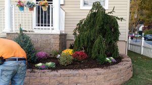Hackensack N.J. Landscaping Contractor - aplnj