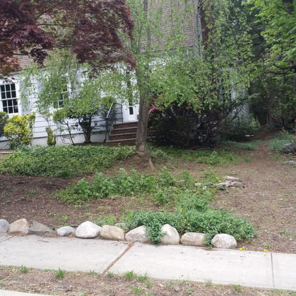 Shade Gardening in Bergen County