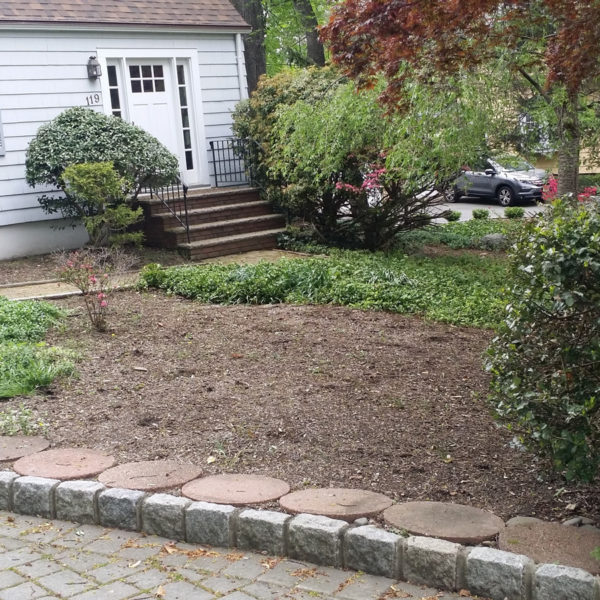 Shade Gardening in Bergen County