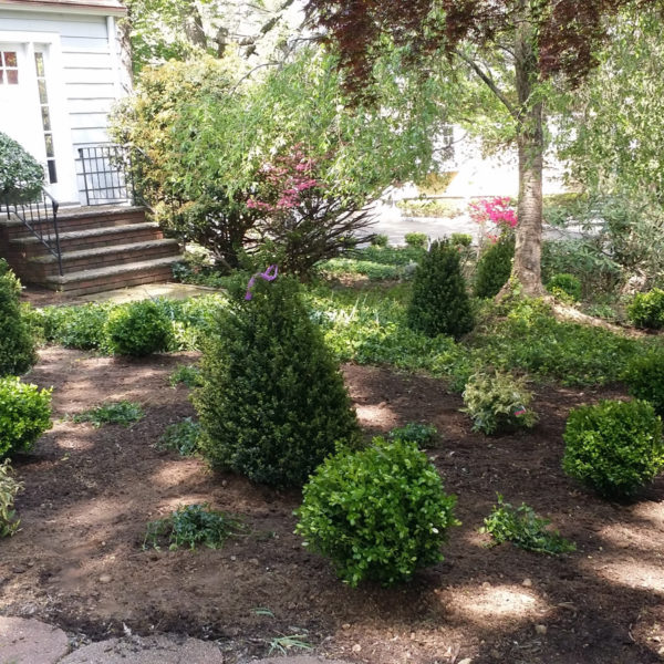 Shade Gardening in Bergen County