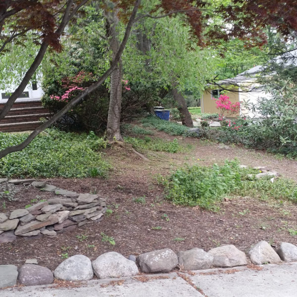 Shade Gardening in Bergen County