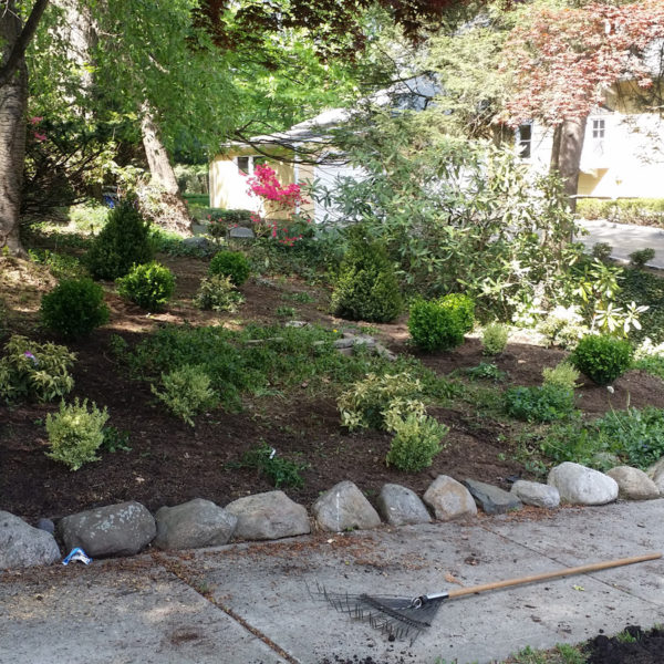 Shade Gardening in Bergen County