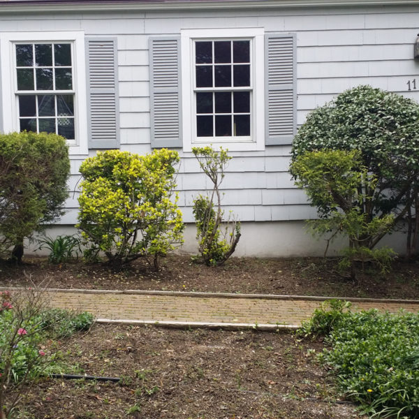 Shade Gardening in Bergen County
