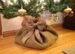 Bag and Burlap Live Christmas Tree Care - almost PERFECT Landscaping