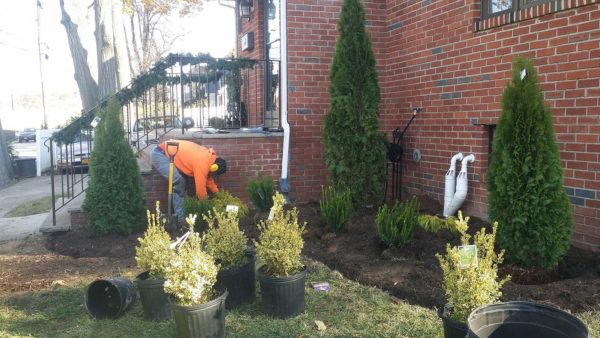 Landscaping Contractors in Teaneck - almost PERFECT Landscaping